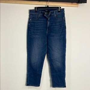 Express Dark Blue Denim Jeans